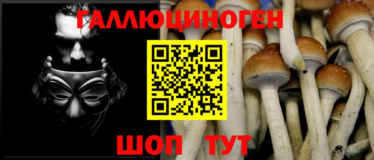 Галлюциногенные грибы GOLDEN TEACHER Соликамск
